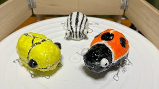 マルテントウ vs キイロカナブン/Round ladybugs vs Yellow drone beetle