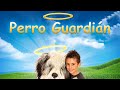 Perro Guardián | Pelicula Completa en Español | Divertida película familiar