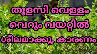 തുളസി വെള്ളം വെറും വയറ്റില്‍ ശീലമാക്കൂ, കാരണം | Health tips only health tips