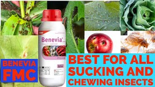 Benevia FMC insecticide | Insect Control Cyantraniliprole Insecticide | Cyazypyr Active Kissan Ghar