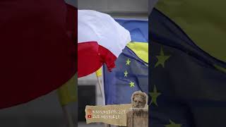 Co dalej? #shorts #shortvideo #short #shortsvideo #poland #polska #ciekawe #ciekawostki #news #new