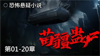 恐怖悬疑小说《苗疆蛊尸》第1-20章 【有声书】【有声小说】【懒人听书】共978章