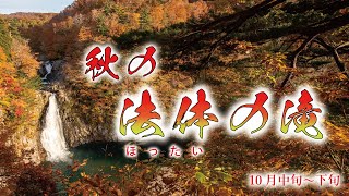 Autumn leaves in Japan 2020　Hottai Falls