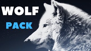 WOLF PACK - Best Motivational Video Speeches Compilation - ONE OF THE BEST SPEECHES EVER