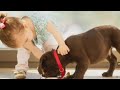 20 Best Dog 🐶 breeds for kids || Universe of pets.