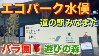 道の駅みなまた　エコパーク水俣　バラ園　遊びの森