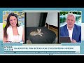 Τώρα Μαζί live stream 01 06 2024 open tv