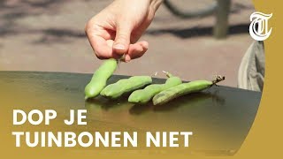 Zo zijn tuinbonen het lekkerst! - FELIX FILEERT