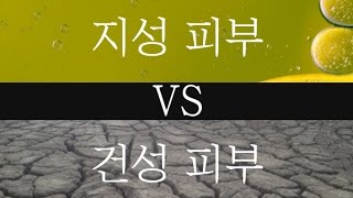 지성피부 VS 건성피부 : 최고의 피부타입을 찾아라!