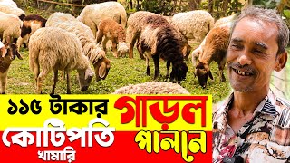 ১১৫ টাকার ২টি গাড়ল পালন থেকে এখন কোটিপতি খামারি | গাড়ল পালন পদ্ধতি | Sheep Farming - Safollo Kotha