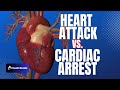 Cardiac Arrest vs Heart Attack - What's the Difference? - 3D Animation