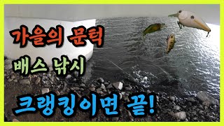 부부배서 남주 솔플. 배스 낚시 가을은 크랭크 베이트 #배스 #배스낚시 #크랭크 #부부배서