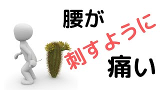 腰が刺すように痛い！その対策【宗像市　腰痛専門整体院セノビ 】