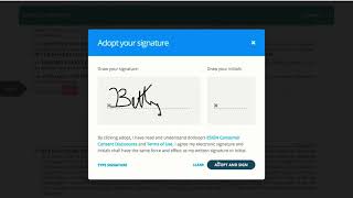 Overview of the client signing experience