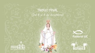 Triduo Día 3: Bajo tu amparo nos acogemos, Madre de Dios y madre nuestra- 8 de Diciembre.