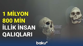 1 milyon 800 illik insan qalıqları - BAKU TV