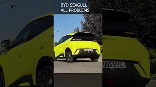 2025  BYD SEAGULL ! MOST AFFORDABLE ELECTRIC CAR, that does not sucks