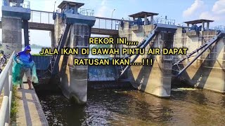 REKOR INI,,,JALA IKAN DI BAWAH PINTU AIR BENDUNG GERAK DAPAT RATUSAN IKAN,NETS FISHING