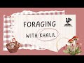 🌿 Learn Foraging Basics: Wild Food & Herbal Tea Adventure in Nature!