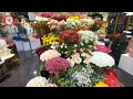 beautiful flowers shop in dubai royal armani flowers al barsha mall bouquet flowers uae dubai