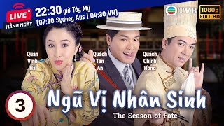 Phim TVB Ngũ Vị Nhân Sinh (The Season of Fate) 3/25 | Quách Tấn An, Quan Vịnh Hà, Mễ Tuyết | 2010