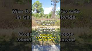 0.23 acre lot in Florida for $6900 #realestate #foryou #florida #land #property #investing #shorts