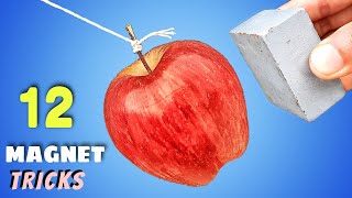 12 Awesome Magnet Tricks || Science Experiments With Magnet