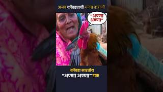 कोंबडा मारतोय अण्णा अण्णा हाक | Speaking Chicken