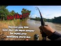 Spot baru ada ikan purba | ulu sungai jelai pahang #wms-060