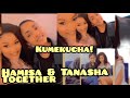 Diamond Platnumz Baby Mamas Hamisa Mobeto And Tanasha Donna meet for the first Time in Kenya