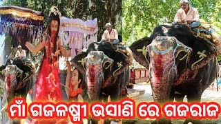 Gajalaxmi bhasani sonepur 2022। Elephant in bhasani jatra। ଓଡ଼ିଶା ପ୍ରସିଦ୍ଧ ମାଁ ଗଜଲଷ୍ମୀ ଭସାଣି