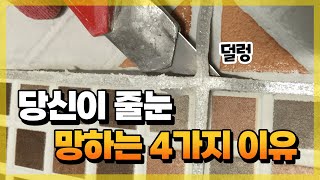 줄눈 망하는 4가지 이유😡