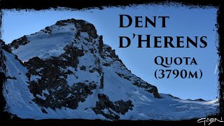 Dent d'Herens (Quota 3790m)