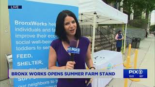 The BronxWorks Community Farm Stand Opens For the Summer - PIX 11 Morning