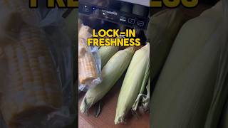 Preserve Fresh Corn for a Year! Simple Steps Using Avid Armor Vacuum Sealer for Long-Term Storage