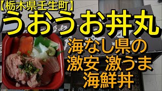 【新鮮海鮮丼】うおうお丼丸でどんまる丼を食す【栃木県壬生町】