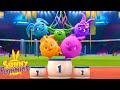 SUNNY BUNNIES - Race to 1st Place | Season 1 | Cartoons for Children