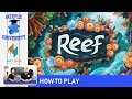 Reef Board Game – How to Play & Setup (Know the rules and play under 11 minutes!)