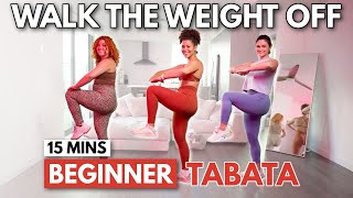 15 Min Lower Belly Tabata Fat Burn For Beginners | Do this Everyday to Lose Weight