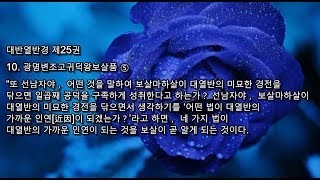 TV불교 불경 자막 - 대반열반경(법문 편) 32-20편