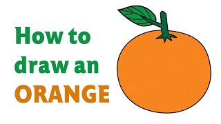 How to Draw an Orange Step by Step Easy Drawing