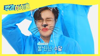 (ENG) [Weekly Idol] 뿌린 대로 거두는 에이비식스 앙숙즈 (ㅋㅋ) l EP.509