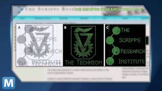 Biocomputer Decodes Images from DNA