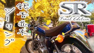 天理の銀杏並木 奈良 バイクツーリング / YAMAHA SR400 Final Edition ～Exhaust Sound🔊～