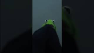 evil kermit attacks #shorts