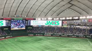 2022.4.26 日本ハムファイターズYMCA  in東京ドーム