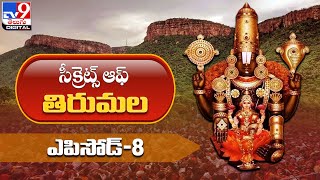 స్వర్ణభరిత శ్రీవారి ఆనంద నిలయం విశిష్టత  | Secrets of Tirumala | Episode-7  - TV9