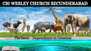 CSI WESLEY CHURCH SEC-BAD | 16-02-2025  | Morning Service | The Inter - Dependence in Creation