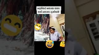 නස් නොනා ඩොක්ට සමග ඉන්නකොට 🤣🤣😁 #leek #trending #viral #shorts