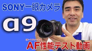 デジタル一眼カメラ α9 AF(オートフォーカス)性能テスト!! これは凄い!!